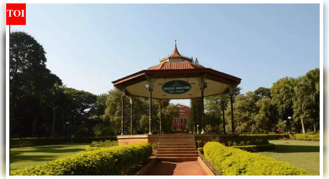 Italian woman travels to Bengaluru to meet long-distance boyfriend, showers love on the city; 'the temple, the shopping streets, and even the malls....