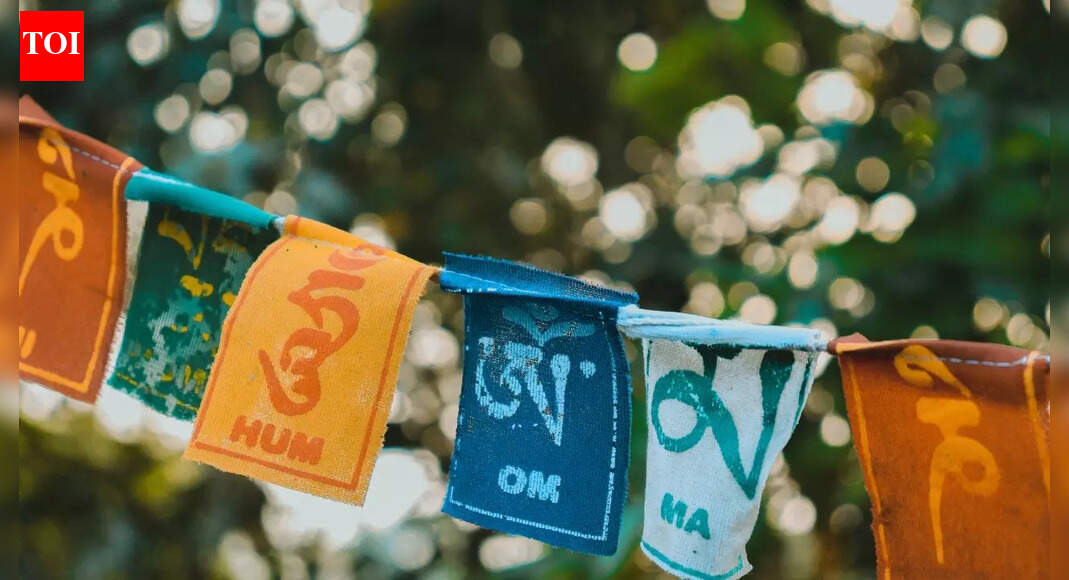 Delhi’s Majnu ka Tila faces shutdown of illegal cafés: Why is it closing down and which of your favourite spots won’t be there