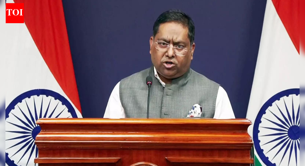 'Emboldens perpetrators': India on B'desh denying attacks on Hindus