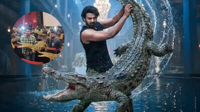 Prabhas fans bring crocodiles for ‘The Raja Saab’ screening to recreate iconic action scene - Watch