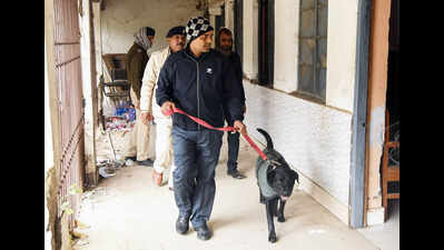 बम की अफवाह के एक दिन बाद गया कोर्ट में दर्शकों की संख्या में कमी आई