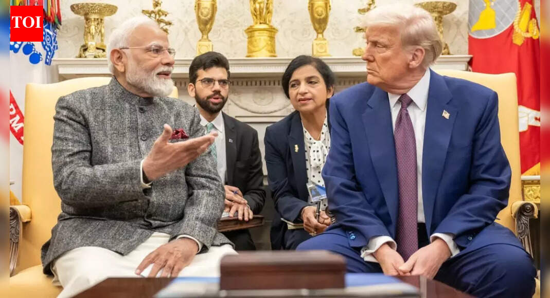 'Modi–Trump share friendly ties': MEA rejects US President's 'sir please' remark