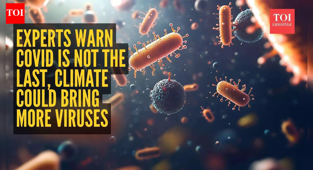 Experts warn COVID is not the last, climate change could bring more viruses