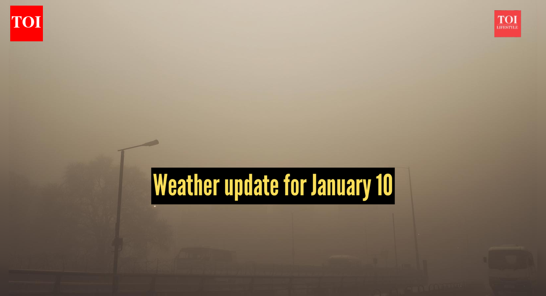 What's the weather today: IMD predicts rainfall in Tamil Nadu, issues cold wave alert and dense fog warning for several states