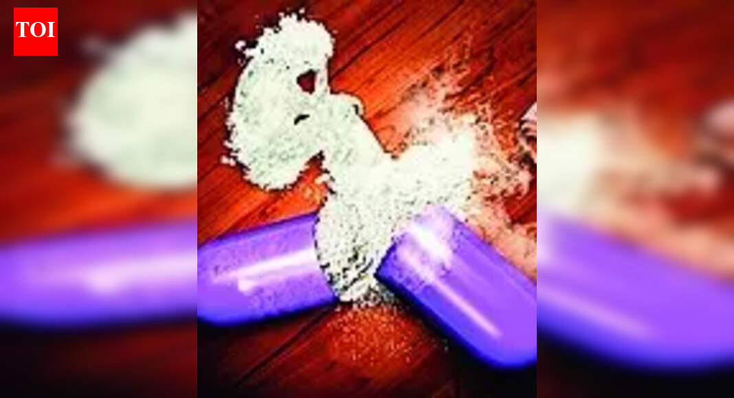 Goa police will identify main players in drug trade, act against them: DGP