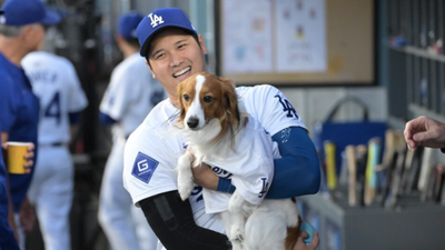 Who is Decoy? All about Shohei Ohtani’s dog known as the Dodgers’ most valuable pet