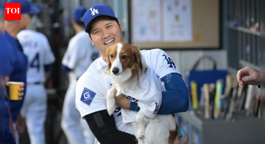 Who is Decoy? All about Shohei Ohtani’s dog known as the Dodgers’ most valuable pet