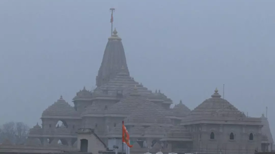 Ayodhya bans non-veg delivery within Ram temple's 15km radius