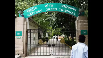 To cut trees for roads, NGT bench wants national policy