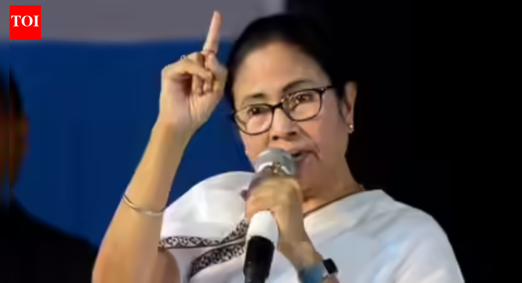 TMC: ED violated 'right to privacy', accessed party's election strategy