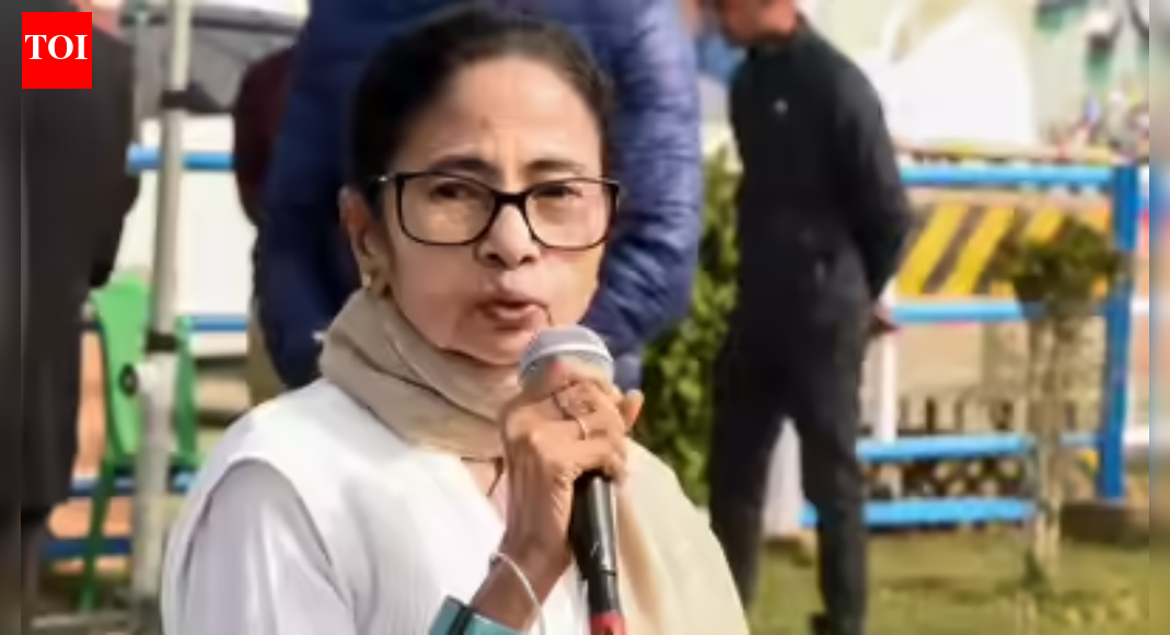 ED team came to steal voter info, says Didi, files FIRs against officials