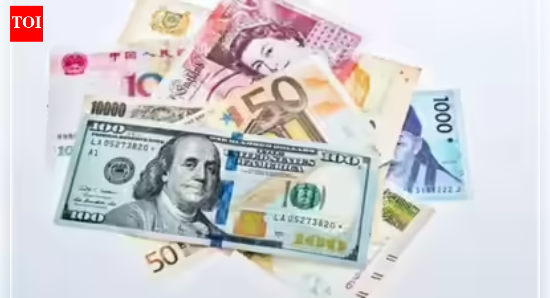 Forex reserves record biggest drop in 14 months