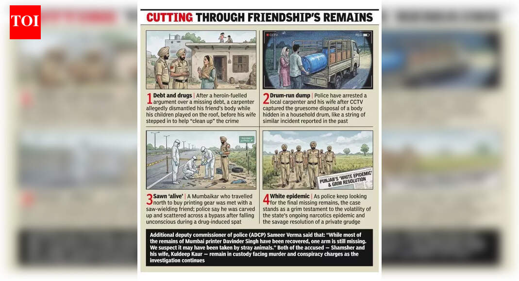 Ludhiana shocker: Carpenter kills man, cuts body into 6 pieces; wife held for cleaning crime scene