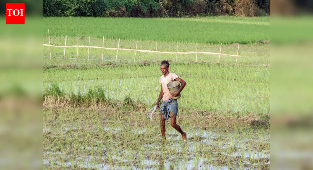 73% of India's fertiliser needs met through domestic production in 2025