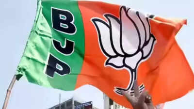 BJP appoints co-accused in Badlapur sexual abuse as Co-opted councillor