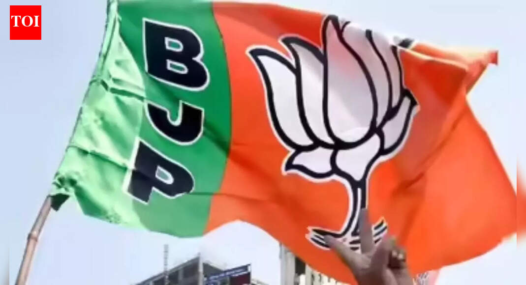 BJP appoints co-accused in Badlapur sexual abuse as Co-opted councillor