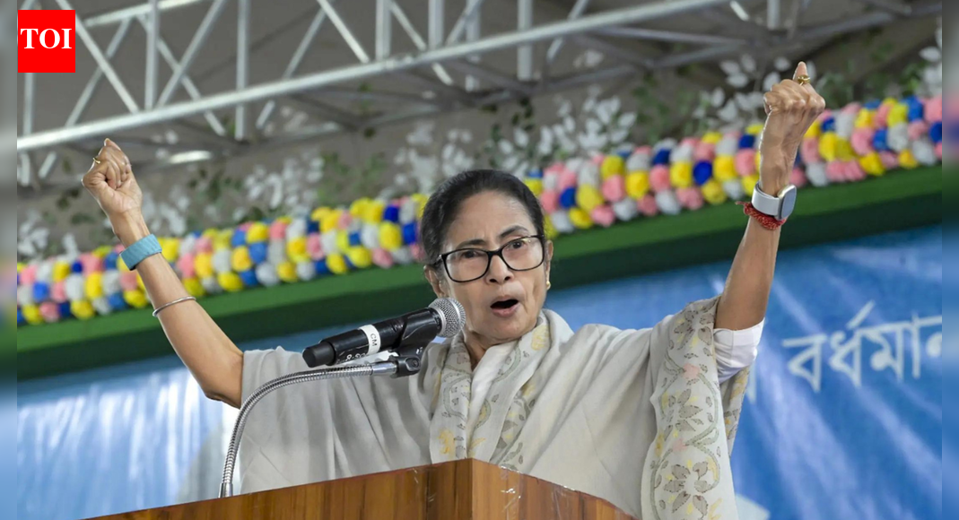 '77 deaths due to SIR': Mamata makes shock claim; attacks EC again
