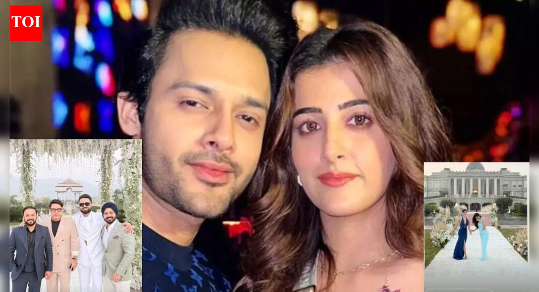 Kriti Sanon's rumoured boyfriend Kabir Bahia, Mouni Roy, Disha Patani drop PICS from Nupur Sanon, Stebin Ben's wedding in Udaipur - See inside