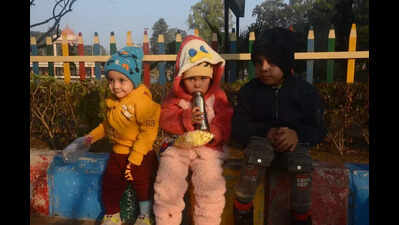 Kanpur shivers as temps drop to 4.6°C, fog rolls in | Kanpur News - The ...