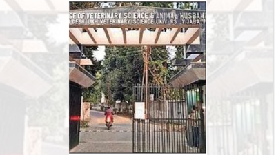 MP's 'gau mutra, gobar cancer project' funds splurged on cars, travel: Probe