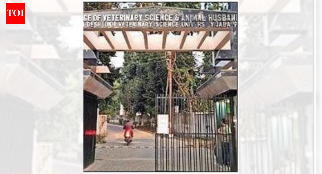 MP's 'gau mutra, gobar cancer project' funds splurged on cars, travel: Probe