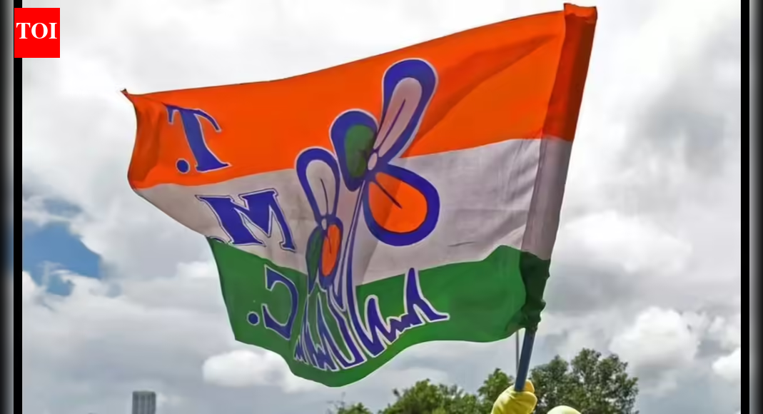 Politically motivated: TMC on NIA arresting party worker for 2023 BJP neta murder