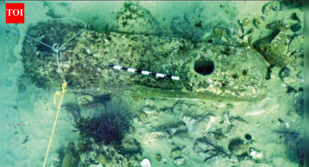 ASI preps for deeper digs to trace Krishna's ancient Dwarka