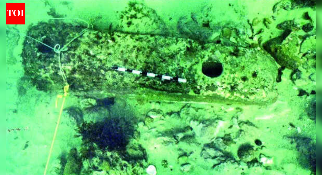 ‘Remarkable features’: ASI prepares for deeper digs to trace Krishna’s ancient Dwarka; aims to explore unexamined areas