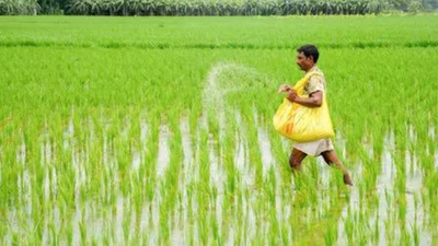 Budget 2026: Micro-fertiliser makers pitch reforms; call for uniform GST, single business licence system