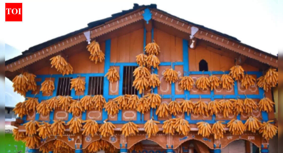 This village near Mussoorie hangs corn outside their homes for generations, and the reason goes far deeper than tradition