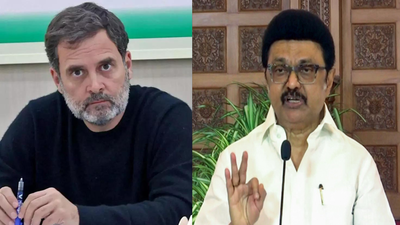 No Rahul-Stalin in Tamil Nadu? DMK rejects Congress‘s 'sharing power’ proposal; CM firm on stand