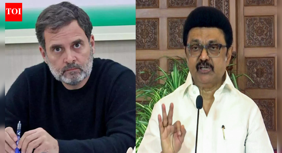 No Rahul-Stalin in Tamil Nadu? DMK rejects Cong‘s 'sharing power’ proposal