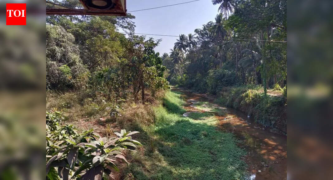 Bicholim locals raise flood, drainage concerns