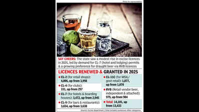 Bottoms up! Liquor licences see marginal rise in Karnataka