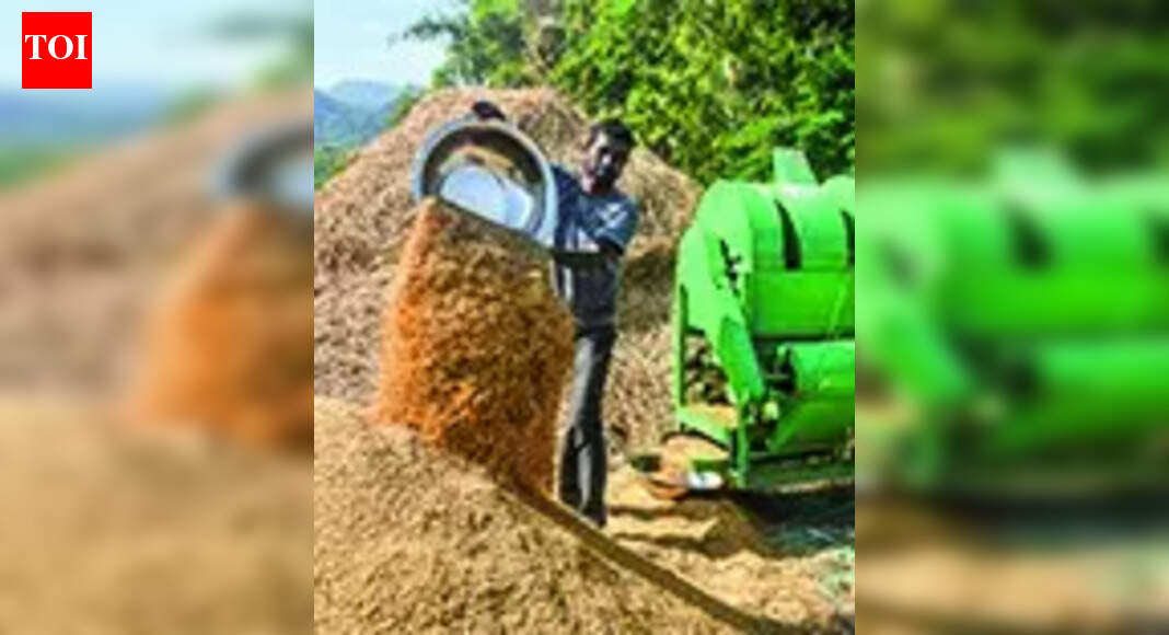 Plea in Orissa high court over paddy buying issues