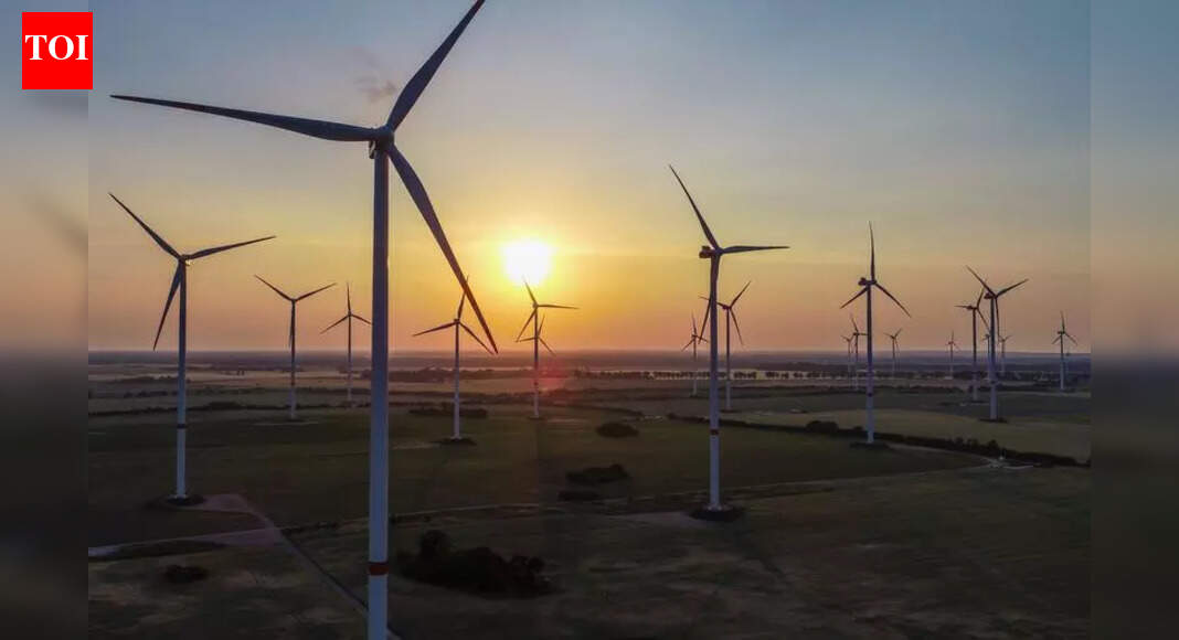 ‘Wind power projects need govt support for stable grid’