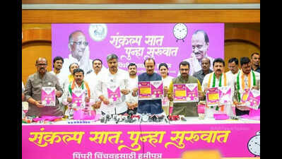 Property tax waiver for small homes, regular water supply among key promises in two NCPs’ manifesto for PCMC