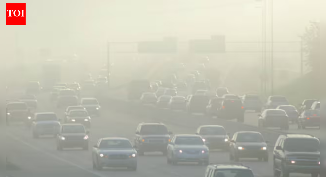 Study: Aerosols making winter fog worse in north India