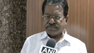 BJP putting pressure on censor board: DMK's TKS Elangovan on delay in release of Vijay's film