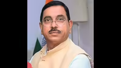 India seeks global cooperation on renewable energy