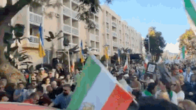Watch: Truck rams into crowd supporting Iran protests in LA
