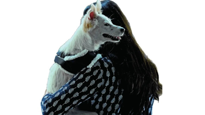 Your pet pooches’ microbes may make you more caring