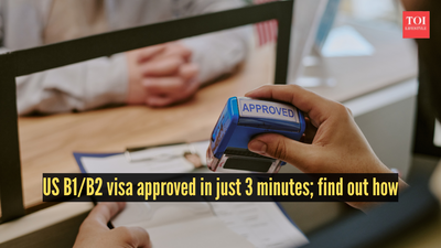 B1/B2 visa approved in just 3 minutes: Inside a remarkably smooth US visa interview