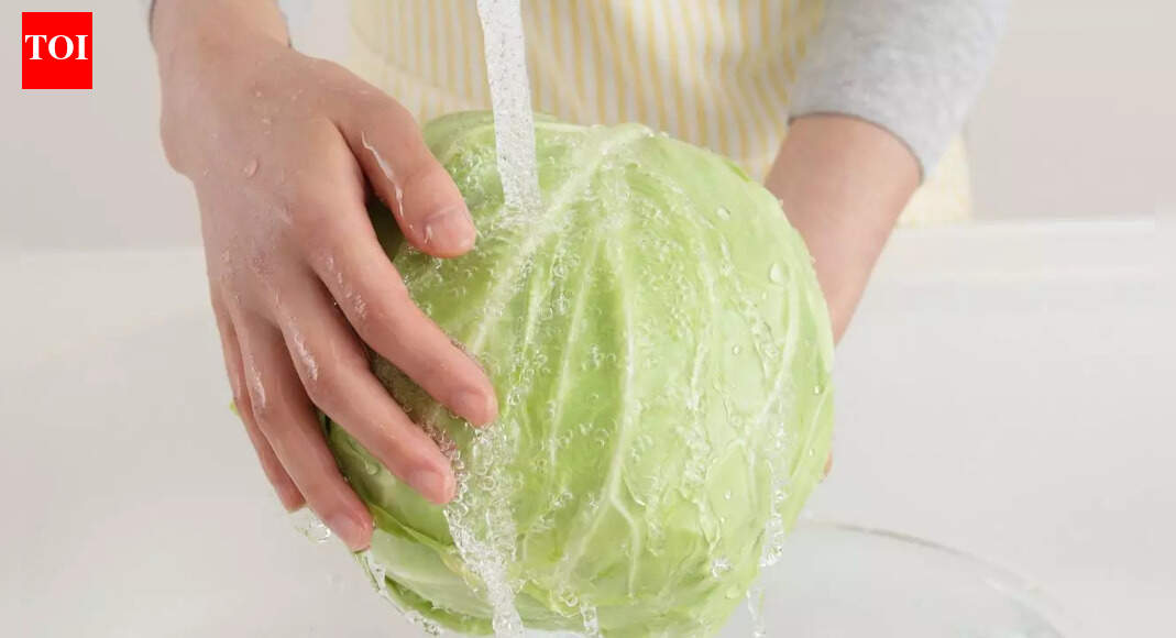 How to clean cabbage properly: The simple hacks that remove worms and hidden dirt