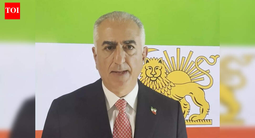 'Seize and hold the cities': 5 takeaways from Reza Pahlavi's declaration amid Iran protests