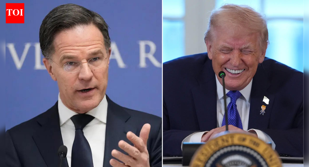 'Working to boost Arctic security': Nato chief amid US Greenland threat; Donald Trump claims credit for it too