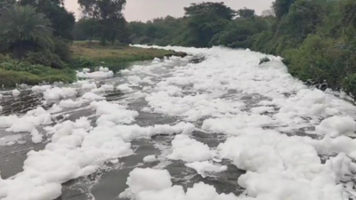 Chemical foam appears in water being released into Thenpennai river