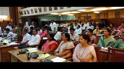 BCC council discusses issues of stray dogs, desilting of nalas