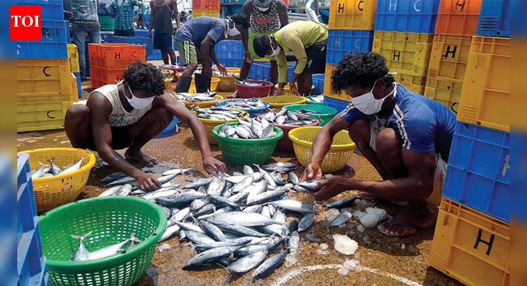 Expert advises trial ban on sardine, mackerel fishing to sustain stocks