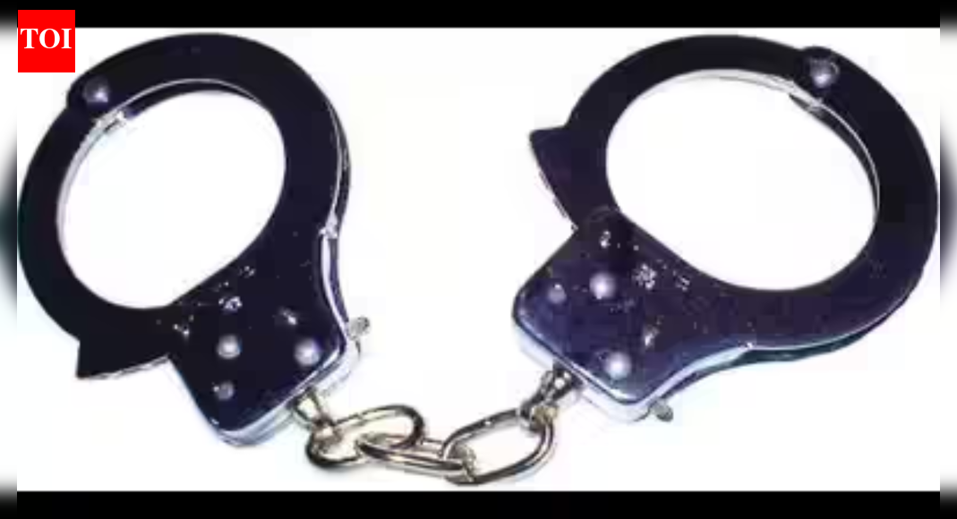 2 held for killing ex-law officer's wife in Punjab, cops say help planned it